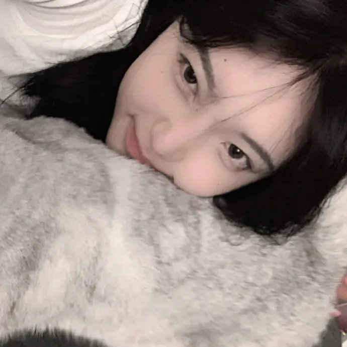 322档案封面